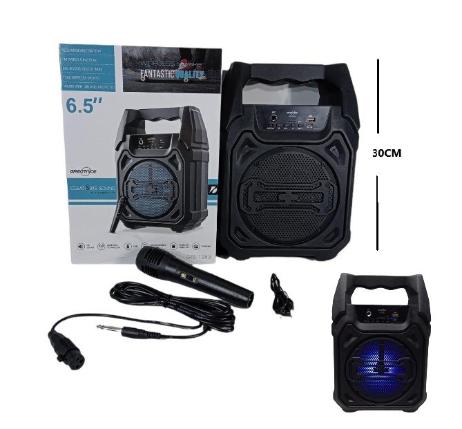 PARLANTE 6.5PLG BT/FM C/MICROFONO GTS-1283