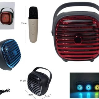 PARLANTE KARAOKE CON MICROFONO 4PLG KTS-2010