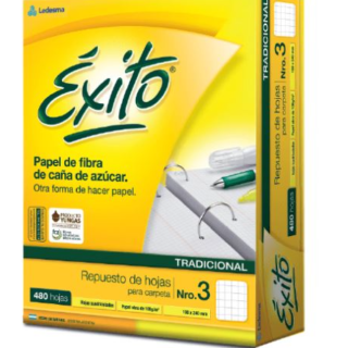 REPUESTO EXITO 480 HOJAS RAY/CUAD            99317