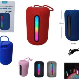 PARLANTE 2PLG BT CON LUZ